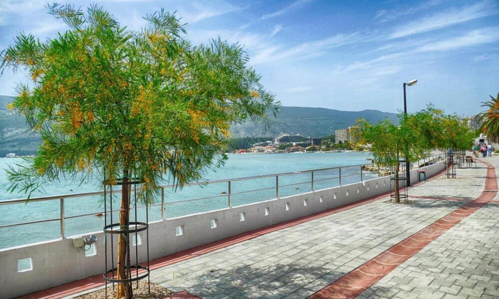 Villa Montanja Herceg Novi Extérieur photo